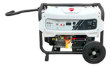 Generador Ducati Dgr365500es 13 Hp 110v-220v Reacondicionado