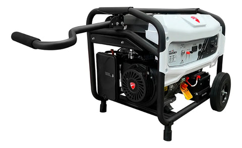 Generador Ducati Dgr365500es 13 Hp 110v-220v Reacondicionado