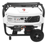 Generador Ducati Dgr365500es 13 Hp 110v-220v Reacondicionado