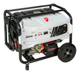 Generador Ducati Dgr365500es 13 Hp 110v-220v Reacondicionado