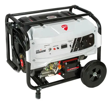 Generador Ducati Dgr365500es 13 Hp 110v-220v Reacondicionado